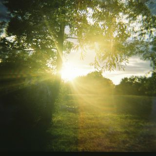 Photo of sun flare on the common