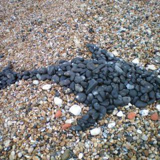 Shark pattern on the beach